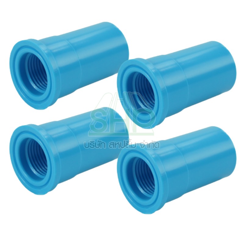 ข้อต่อเกลียวในพีวีซี PVC ขนาด 2" (2 นิ้ว) DSAI ดีเอสเอไอ 1 ลัง