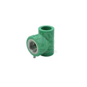 สามทางเกลียวใน ขนาด 32x (เกลียว1/2") ไทยพีพีอาร์ THAI PPR จำนวน 1 ตัว/แพ็ค | 09-TP312T032015