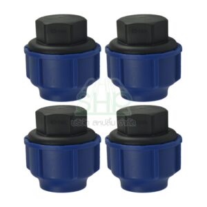 ปลักอุดพีอี PE  ขนาด 25 มิล (3/4หุน)4 ตัว/แพ็ค | 06-BC10025