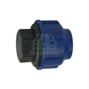 ปลักอุดพีอี PE  ขนาด 40 มิล (1.1/4หุน) 1ตัว/แพ็ค | 06-BC10040