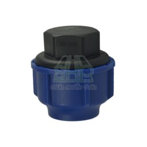 ปลักอุดพีอี PE  ขนาด 63 มิล (2นิ้ว) 1 ตัว/แพ็ค | 06-BC10063