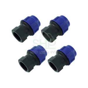 ข้อต่อเกลียวใน PE ขนาด 20 มิล (1/2หุน) จำนวน 4 ตัว/แพ็ค | 06-BC0502003